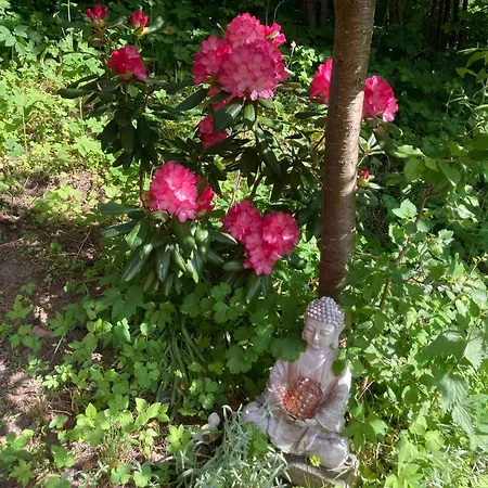 بيت للعطل Cabin, 30 M To The Sea, 25 Min Oslo, 10 Min Tusenfryd Nordre Frogn