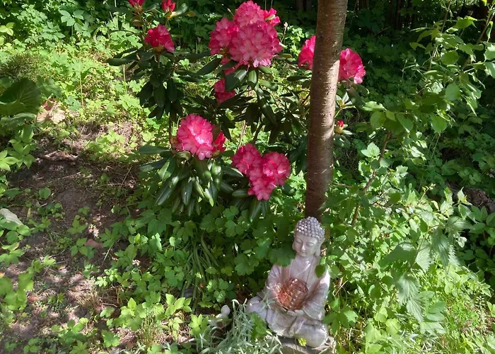 Hébergement de vacances Cabin, 30 M To The Sea, 25 Min Oslo, 10 Min Tusenfryd Nordre Frogn