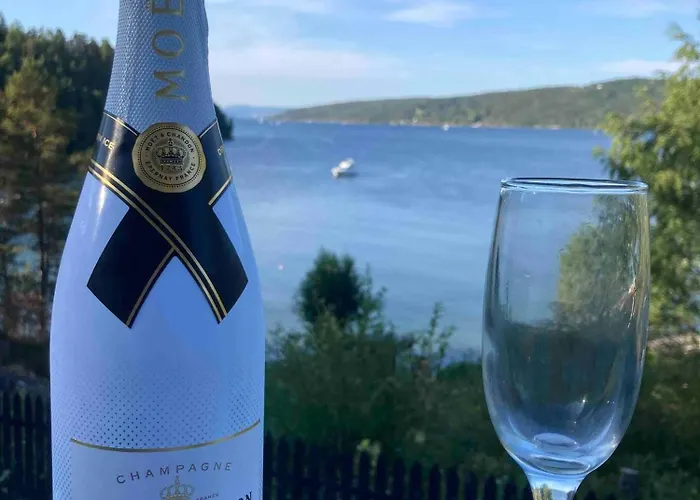 Cabin, 30 M To The Sea, 25 Min Oslo, 10 Min Tusenfryd